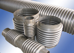 ���Σ���׶����ͷ��������