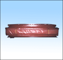 �ǽ���������